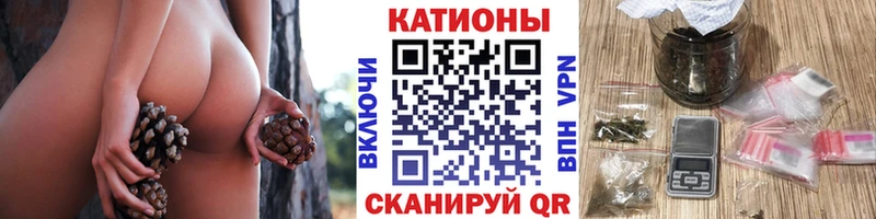 МЯУ-МЯУ VHQ  Саранск 