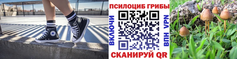 гидра маркетплейс сколько стоит Саранск Псилоцибиновые грибы MAGIC MUSHROOMS